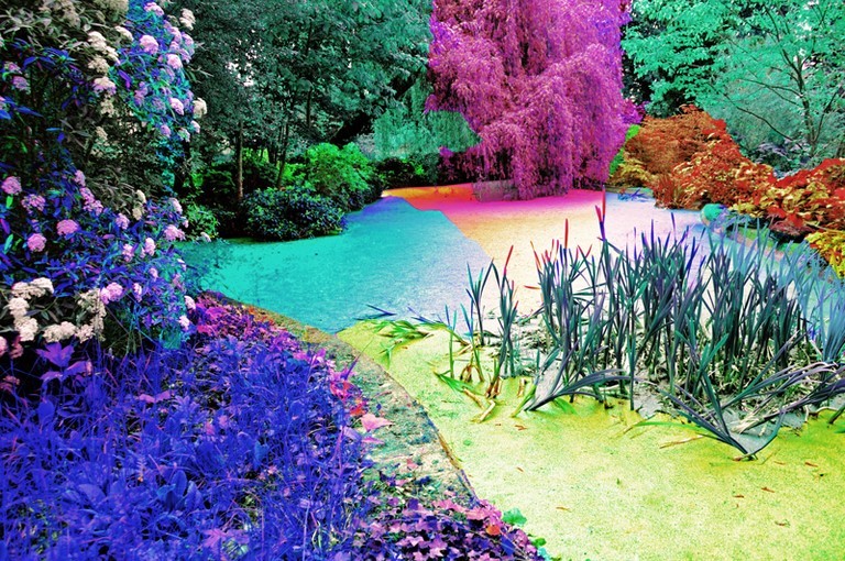 Photographie d'art de Zedblek artiste. Titre: « la mare vituelle » « the virtual pond ». Paysage de Nature aux couleurs fluorescentes. Nature landscape in fluorescent colors. Beaux-arts fine art. Photo photographie couleur color photograph. Œuvre d’art Art contemporain. Art galerie de Zedblek artiste. Art gallery by Zedblek artist : photographe peintre painter photograph