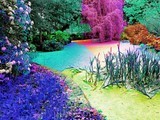 Photographie d'art de Zedblek artiste. Titre: « La mare vituelle » « the virtual pond ». Paysage de Nature aux couleurs fluorescentes. Nature landscape in fluorescent colors. Beaux-arts fine art. Photo photographie couleur color photograph. Œuvre d’art Art contemporain. Art galerie de Zedblek artiste. Art gallery by Zedblek artist : photographe peintre painter photograph