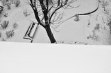 Photographie d'art de Zedblek artiste. Titre: « Le toit blanc» paysage de végétation sous la neige. Vegetation landscape under snow. Beaux-arts fine art. Photo photographie noire et blanc black and white photograph. Œuvre d’art Art contemporain. Art galerie de Zedblek artiste. Art gallery by Zedblek artist : photographe peintre painter photograph