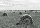 Photographie d'art de Zedblek artiste. Titre: « Les rouleaux de pailles» paysage de nature agricole avec des rouleaux de pailles. Agricultural nature landscape with rolls of straws. Beaux-arts fine art. Photo photographie noire et blanc black and white photograph. Œuvre d’art Art contemporain. Art galerie de Zedblek artiste. Art gallery by Zedblek artist : photographe peintre painter photograph